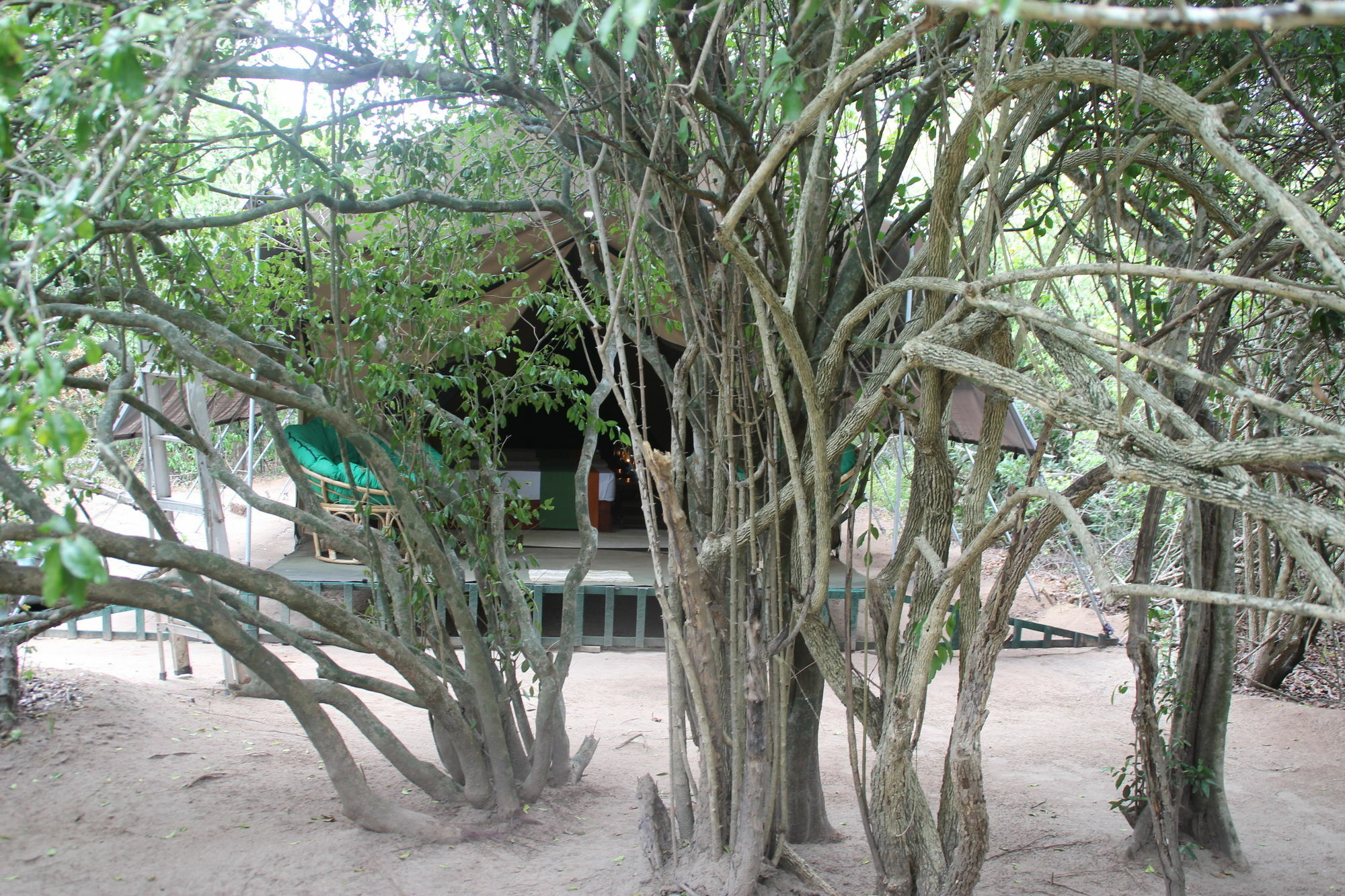 Wilderness Camping Hotel Yala Exterior photo